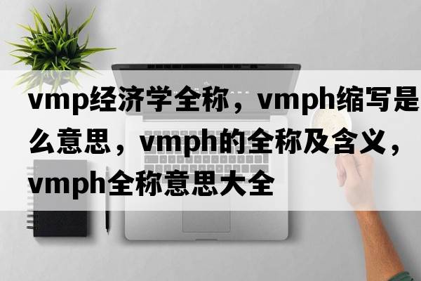 vmp經(jīng)濟學(xué)全稱(chēng)，vmph縮寫(xiě)是什么意思，vmph的全稱(chēng)及含義，vmph全稱(chēng)意思大全