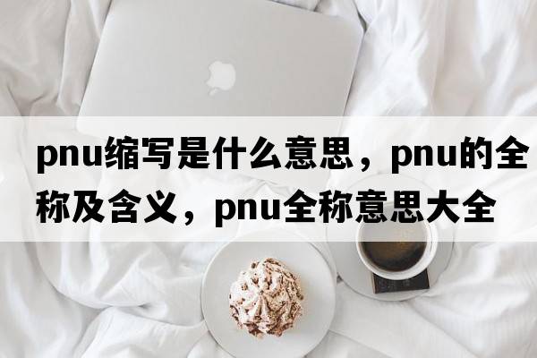 pnu縮寫(xiě)是什么意思，pnu的全稱(chēng)及含義，pnu全稱(chēng)意思大全