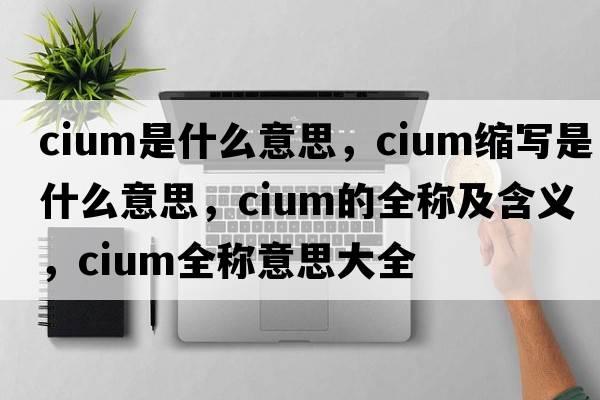 cium是什么意思，cium縮寫(xiě)是什么意思，cium的全稱(chēng)及含義，cium全稱(chēng)意思大全