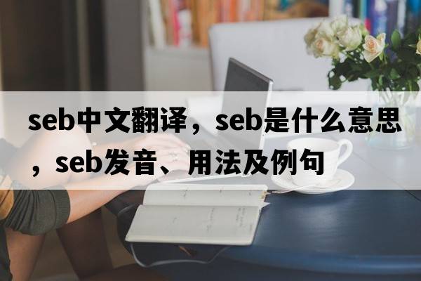 seb中文翻譯，seb是什么意思，seb發(fā)音、用法及例句