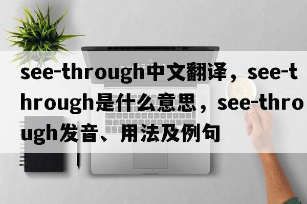 see-through中文翻譯，see-through是什么意思，see-through發(fā)音、用法及例句