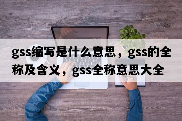 gss縮寫(xiě)是什么意思，gss的全稱(chēng)及含義，gss全稱(chēng)意思大全
