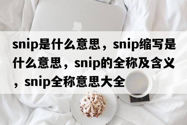 snip是什么意思，snip縮寫(xiě)是什么意思，snip的全稱(chēng)及含義，snip全稱(chēng)意思大全