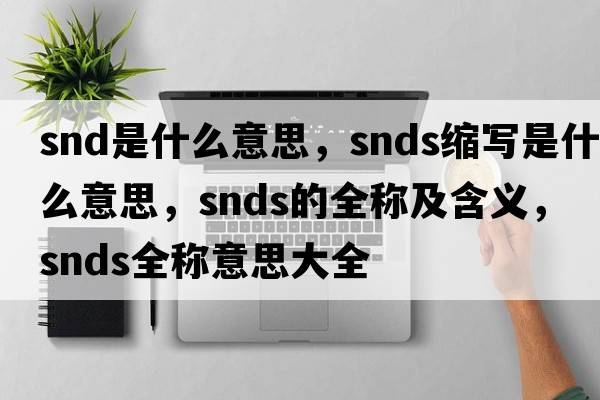 snd是什么意思，snds縮寫(xiě)是什么意思，snds的全稱(chēng)及含義，snds全稱(chēng)意思大全