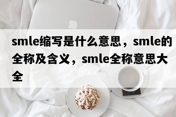 smle縮寫(xiě)是什么意思，smle的全稱(chēng)及含義，smle全稱(chēng)意思大全