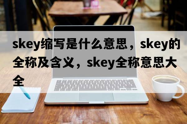 skey縮寫(xiě)是什么意思，skey的全稱(chēng)及含義，skey全稱(chēng)意思大全