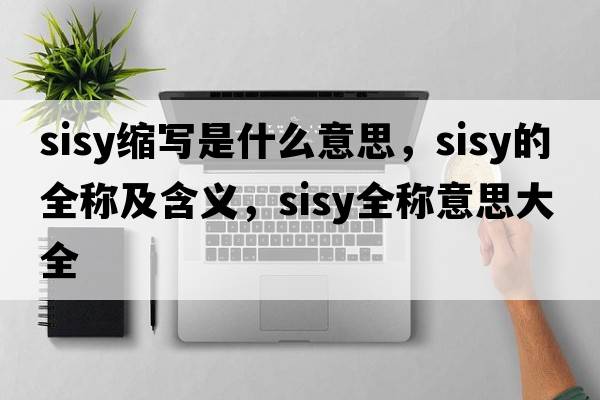 sisy縮寫(xiě)是什么意思，sisy的全稱(chēng)及含義，sisy全稱(chēng)意思大全