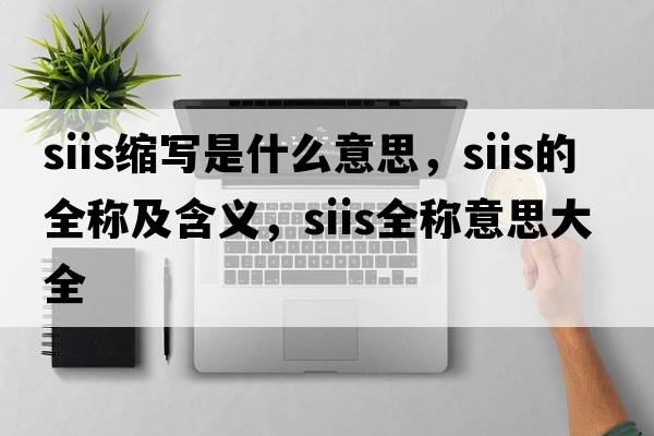 siis縮寫(xiě)是什么意思，siis的全稱(chēng)及含義，siis全稱(chēng)意思大全