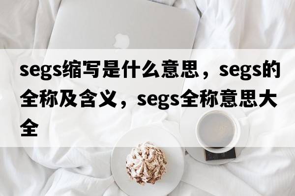 segs縮寫(xiě)是什么意思，segs的全稱(chēng)及含義，segs全稱(chēng)意思大全