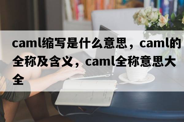 caml縮寫(xiě)是什么意思，caml的全稱(chēng)及含義，caml全稱(chēng)意思大全