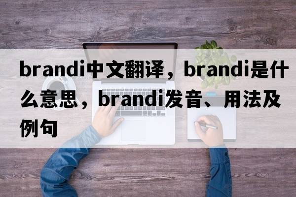 Brandi中文翻譯，Brandi是什么意思，Brandi發(fā)音、用法及例句