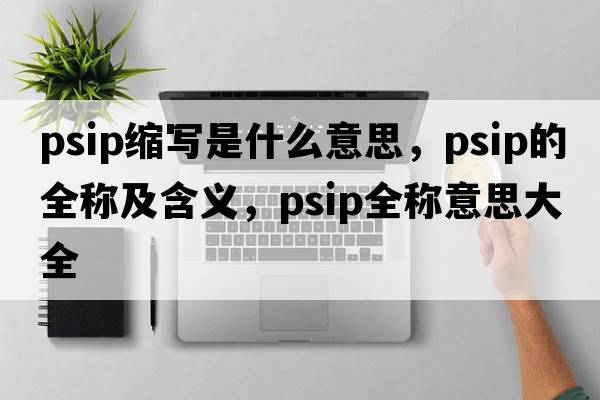 psip縮寫(xiě)是什么意思，psip的全稱(chēng)及含義，psip全稱(chēng)意思大全