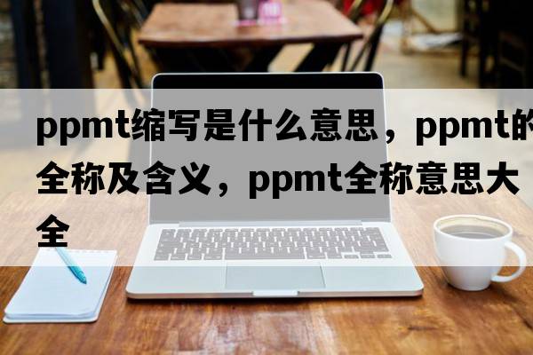 ppmt縮寫(xiě)是什么意思，ppmt的全稱(chēng)及含義，ppmt全稱(chēng)意思大全