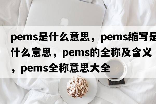 pems是什么意思，pems縮寫(xiě)是什么意思，pems的全稱(chēng)及含義，pems全稱(chēng)意思大全
