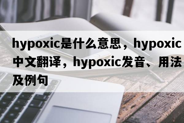 hypoxic是什么意思，hypoxic中文翻譯，hypoxic發(fā)音、用法及例句