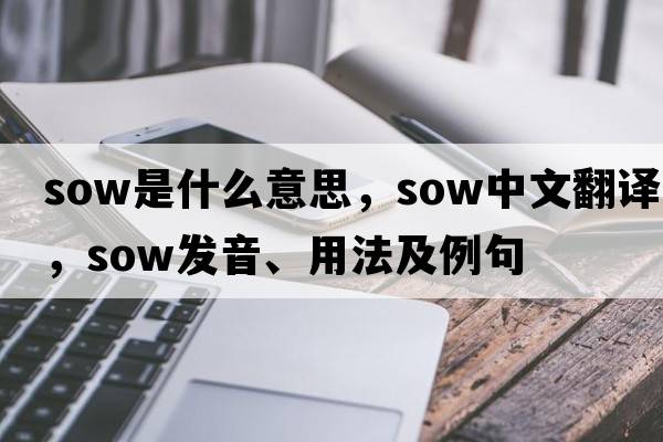 sow是什么意思，sow中文翻譯，sow發(fā)音、用法及例句