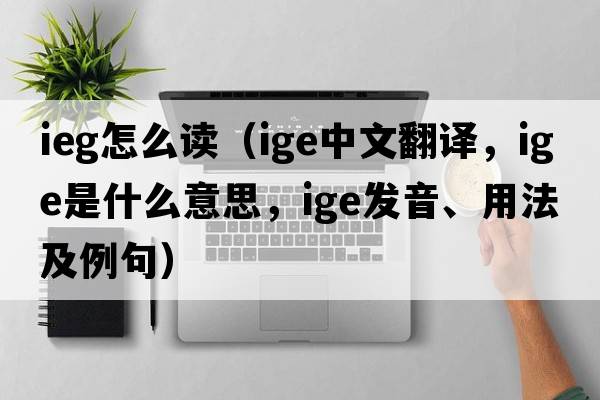 ieg怎么讀（ige中文翻譯，ige是什么意思，ige發(fā)音、用法及例句）
