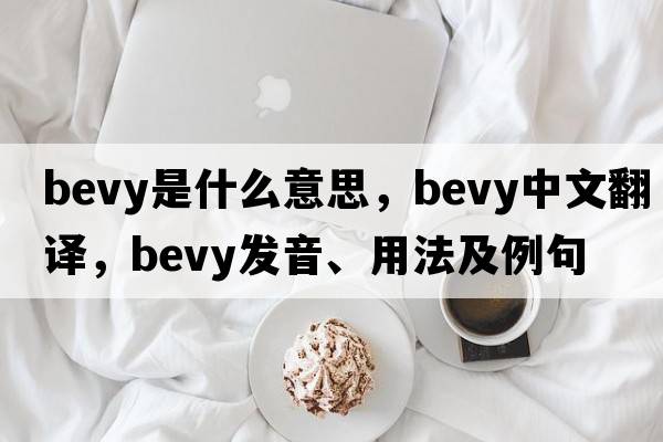 bevy是什么意思，bevy中文翻譯，bevy發(fā)音、用法及例句