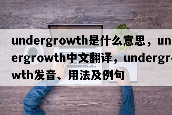 undergrowth是什么意思，undergrowth中文翻譯，undergrowth發(fā)音、用法及例句