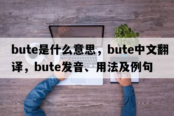 bute是什么意思，bute中文翻譯，bute發(fā)音、用法及例句