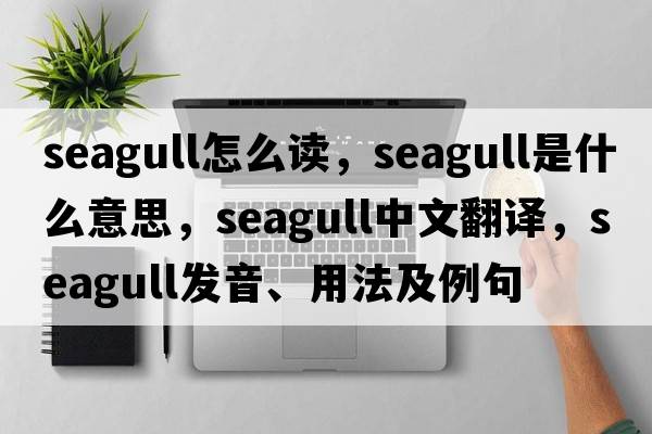 seagull怎么讀，seagull是什么意思，seagull中文翻譯，seagull發(fā)音、用法及例句