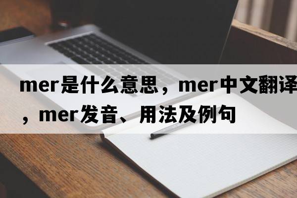 mer是什么意思，mer中文翻譯，mer發(fā)音、用法及例句