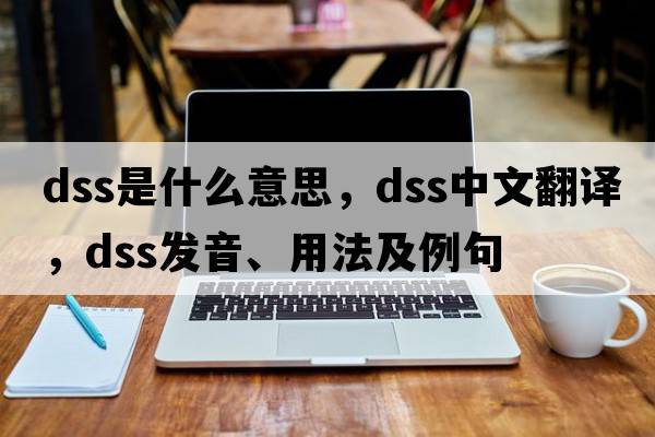 DSS是什么意思，DSS中文翻譯，DSS發(fā)音、用法及例句