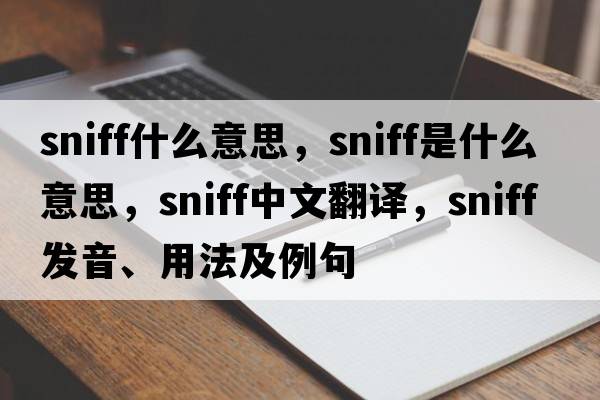 sniff什么意思，sniff是什么意思，sniff中文翻譯，sniff發(fā)音、用法及例句