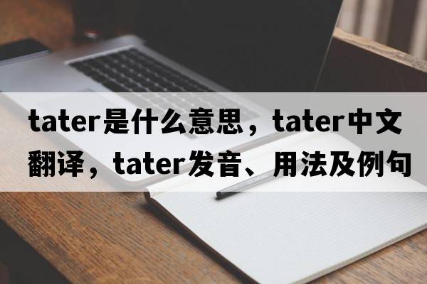 tater是什么意思，tater中文翻譯，tater發(fā)音、用法及例句