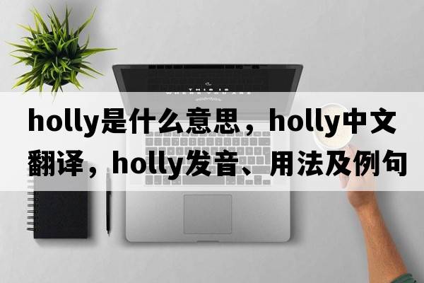 holly是什么意思，holly中文翻譯，holly發(fā)音、用法及例句