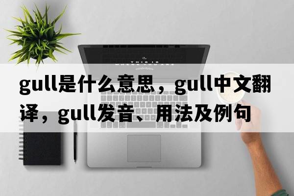 gull是什么意思，gull中文翻譯，gull發(fā)音、用法及例句
