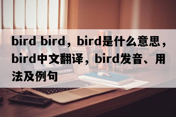 bird bird，bird是什么意思，bird中文翻譯，bird發(fā)音、用法及例句