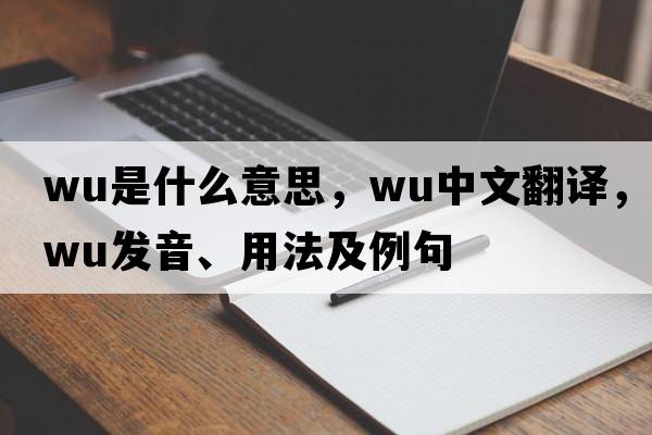 wu是什么意思，wu中文翻譯，wu發(fā)音、用法及例句