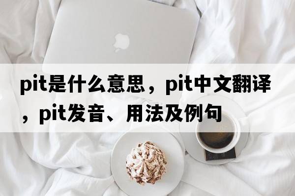 pit是什么意思，pit中文翻譯，pit發(fā)音、用法及例句