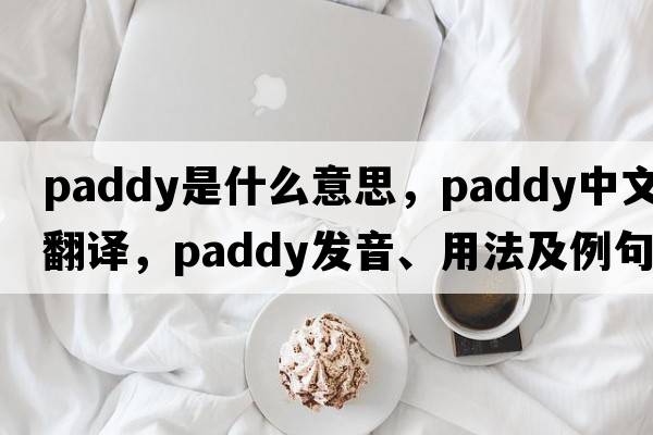 paddy是什么意思，paddy中文翻譯，paddy發(fā)音、用法及例句