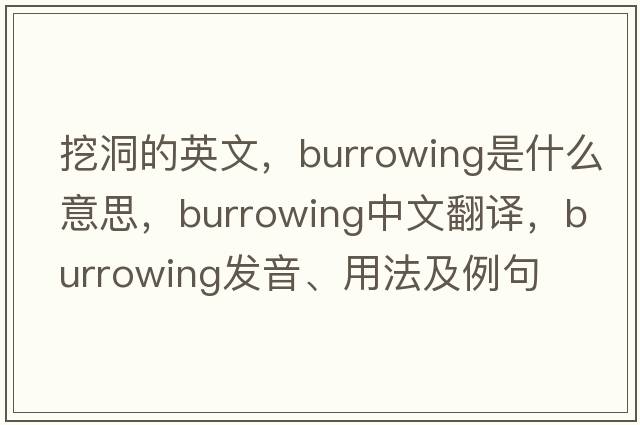 挖洞的英文，burrowing是什么意思，burrowing中文翻譯，burrowing發(fā)音、用法及例句