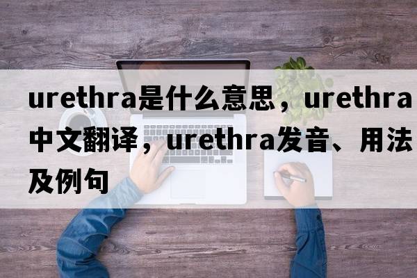 urethra是什么意思，urethra中文翻譯，urethra發(fā)音、用法及例句