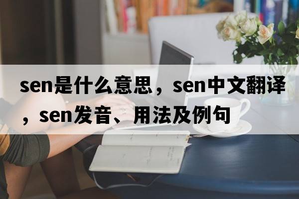 SEN是什么意思，SEN中文翻譯，SEN發(fā)音、用法及例句