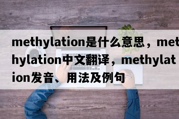 methylation是什么意思，methylation中文翻譯，methylation發(fā)音、用法及例句