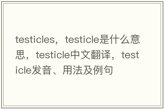testicles，testicle是什么意思，testicle中文翻譯，testicle發(fā)音、用法及例句