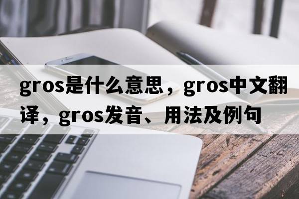 gros是什么意思，gros中文翻譯，gros發(fā)音、用法及例句