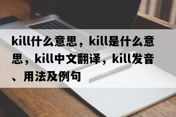 kill什么意思，kill是什么意思，kill中文翻譯，kill發(fā)音、用法及例句