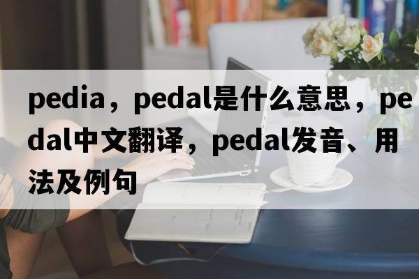pedia，pedal是什么意思，pedal中文翻譯，pedal發(fā)音、用法及例句