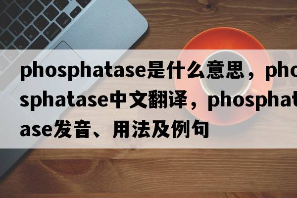 phosphatase是什么意思，phosphatase中文翻譯，phosphatase發(fā)音、用法及例句
