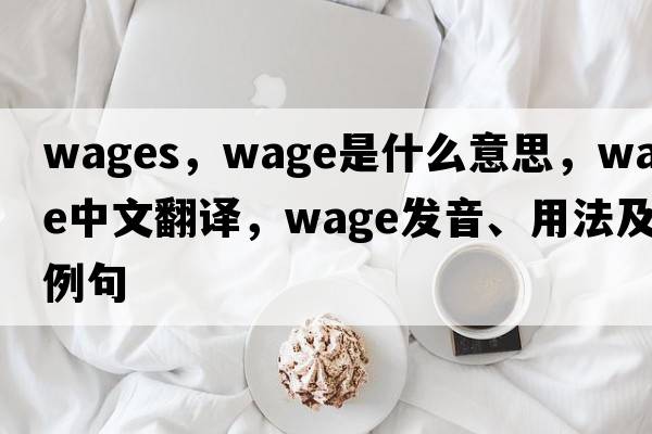 wages，wage是什么意思，wage中文翻譯，wage發(fā)音、用法及例句