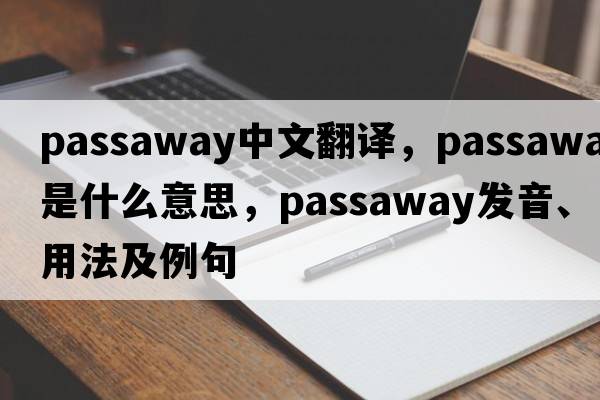 passaway中文翻譯，passaway是什么意思，passaway發(fā)音、用法及例句