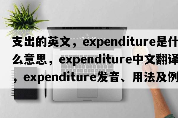 支出的英文，expenditure是什么意思，expenditure中文翻譯，expenditure發(fā)音、用法及例句