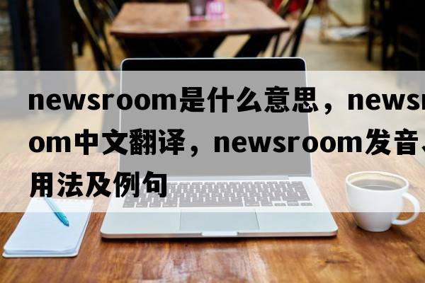 newsroom是什么意思，newsroom中文翻譯，newsroom發(fā)音、用法及例句