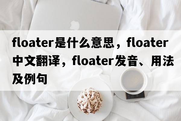 floater是什么意思，floater中文翻譯，floater發(fā)音、用法及例句