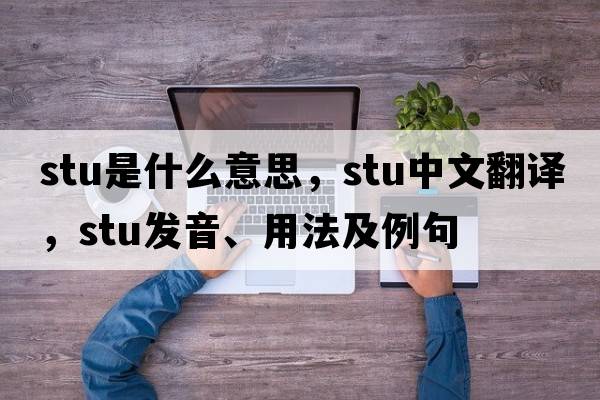 stu是什么意思，stu中文翻譯，stu發(fā)音、用法及例句